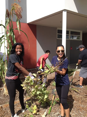 This is a photograph of students at Rosemead High School in the permaculture garden.