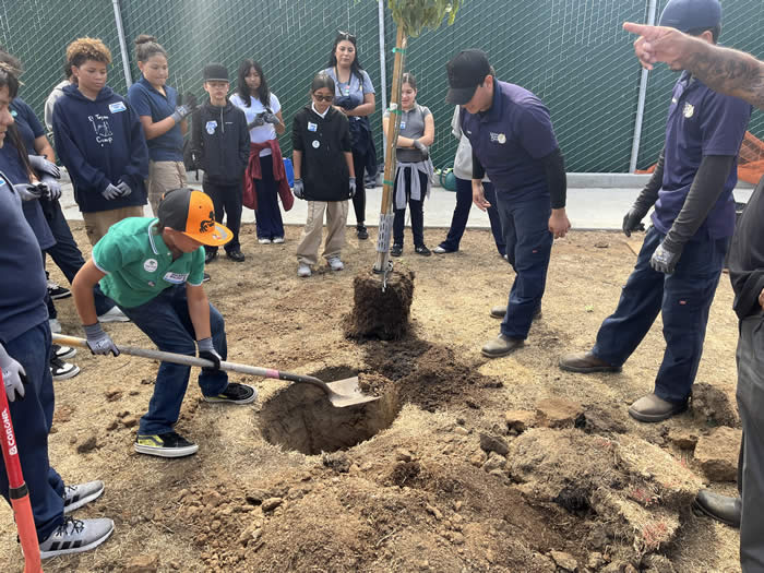 Students participating in tree planting.