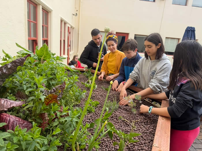 Students participating in planting at their school patio.