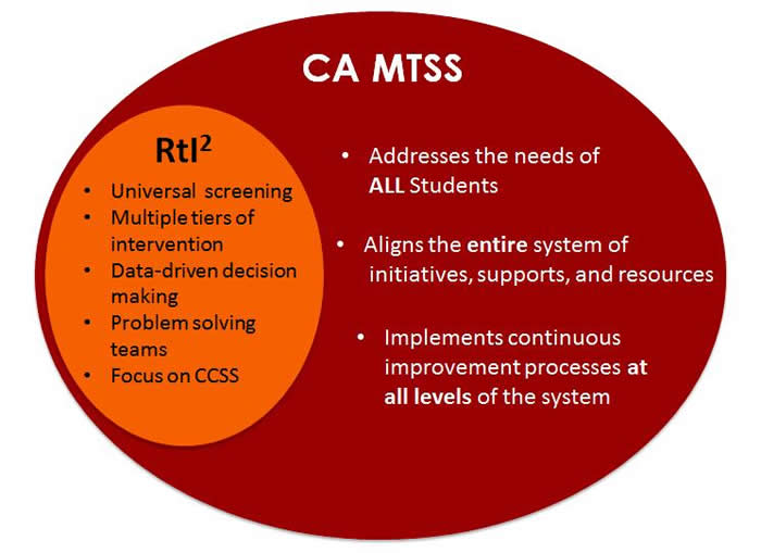 Mtss Process Flow Chart