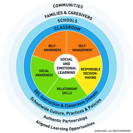 CASEL SEL Framework Wheel - Follow the link below for a long description of the image.