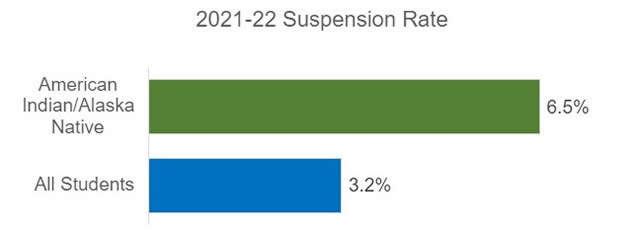 Bar chart of suspension rate as in the paragragh above.