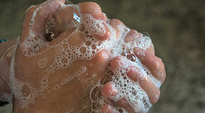 Photo of soapy hands