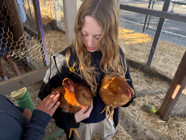 student holding two chickens
