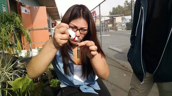 A student tests water quality in an outdoor learning area.