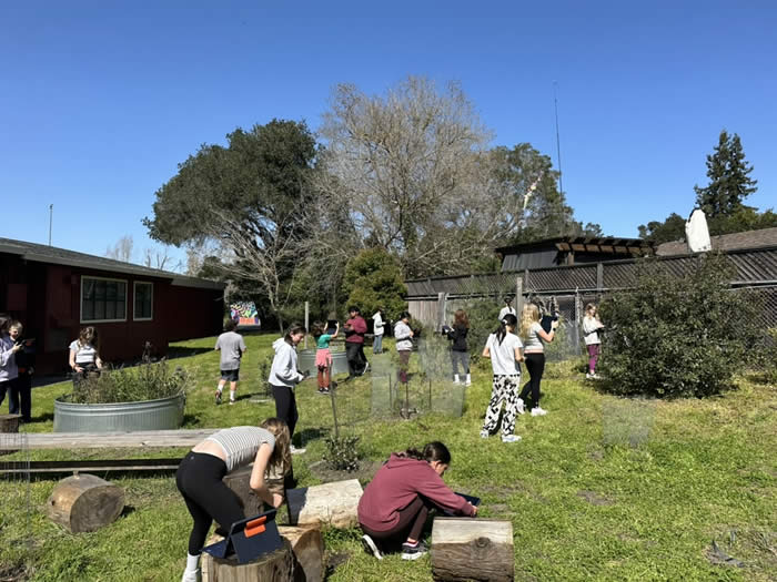several students working in a grassy area