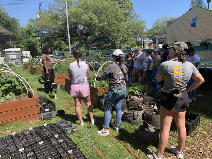 students gathered in a garden