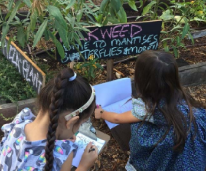 This is a picture of Eagle Rock Elementary School which has been selected as one of the 2019 National Green Ribbon award selectees.