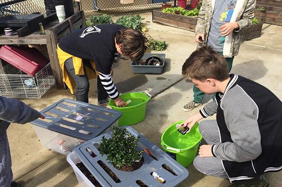 Picture of Jefferson Elementary students filling water from a bucket into a cylindrical tube in the school garden