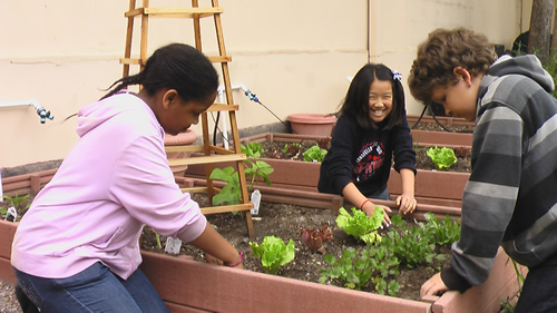 Students working in the garden at Longfellow Elementary School