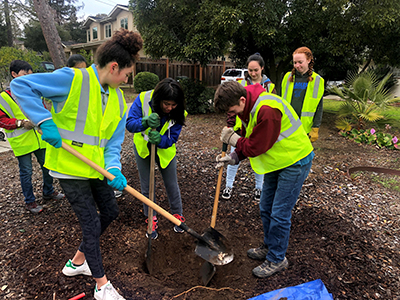 Students planting trees with community group Green Town Los Altos