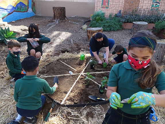 Picture of 2nd graders prepare the Pizza Garden for herbs and veggies.