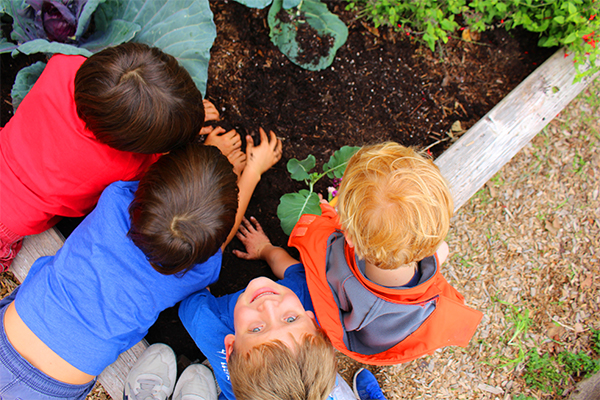 Picture of Montecito Union School students garden club.