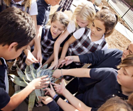 This is a picture of Saint James Academy which has been selected as one of the 2019 National Green Ribbon award selectees.