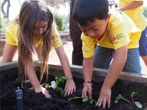 Twain (Green Ribbon Schools) - Two students working in the school garden.