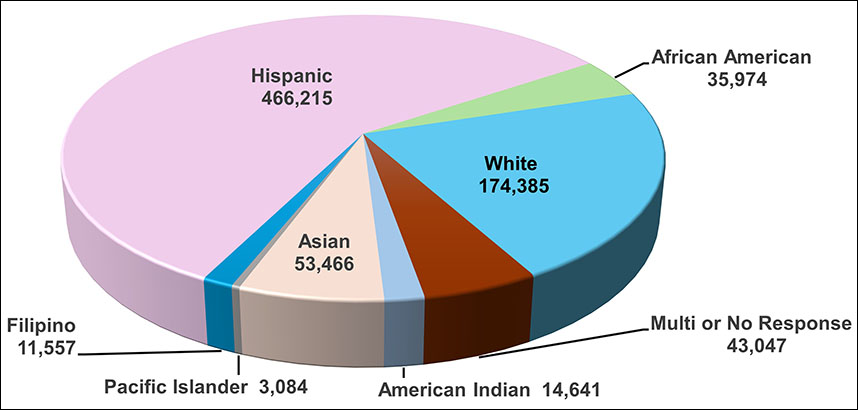 Pie chart showing Total Rider Demographics supported by Home-to-School Transportation Reimbursement Program. Data displayed is provided in the table above.