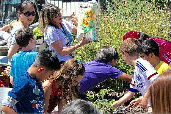 Picture of science teacher and students planting in the garden.