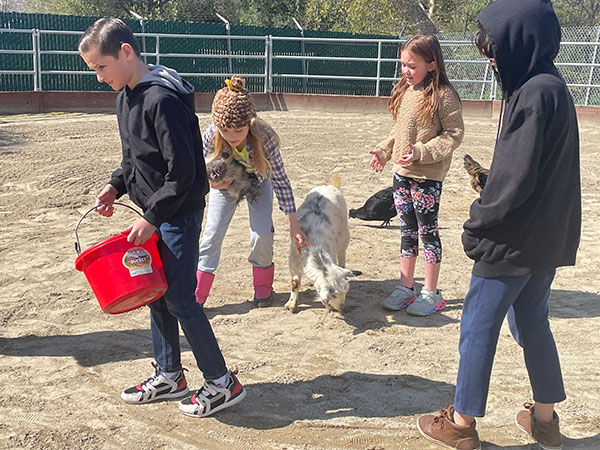 Four students taking care of animals.